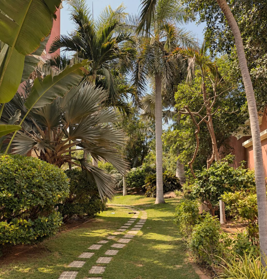 A shaded garden path between palms and planting