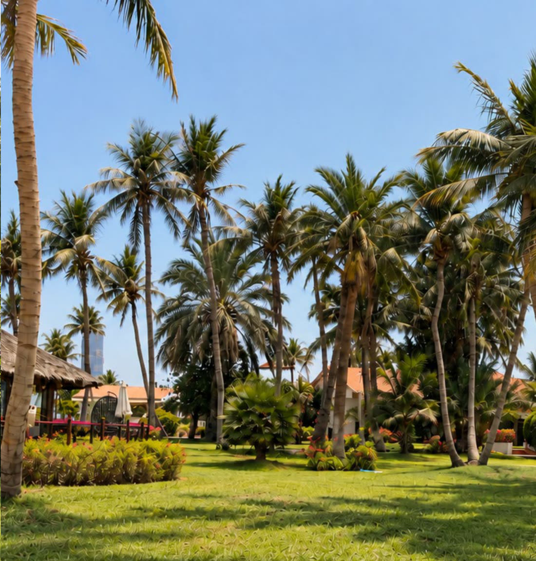 A mature resort garden with palms